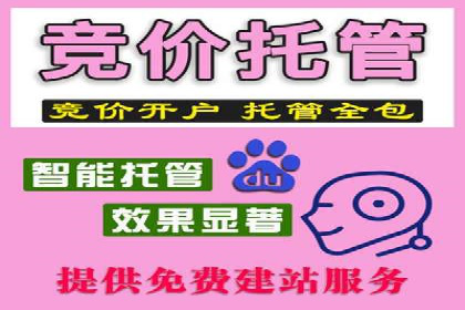 百度竞价推广代运营经典案例分析